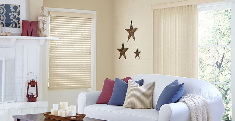 Vinyl Blinds in a Living Room